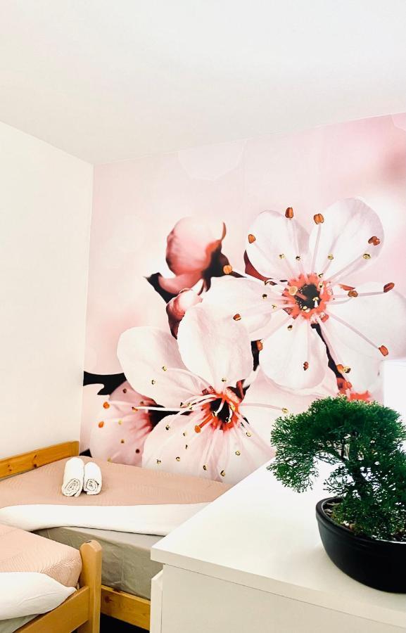 Apartment Beshtie Zadar Luaran gambar